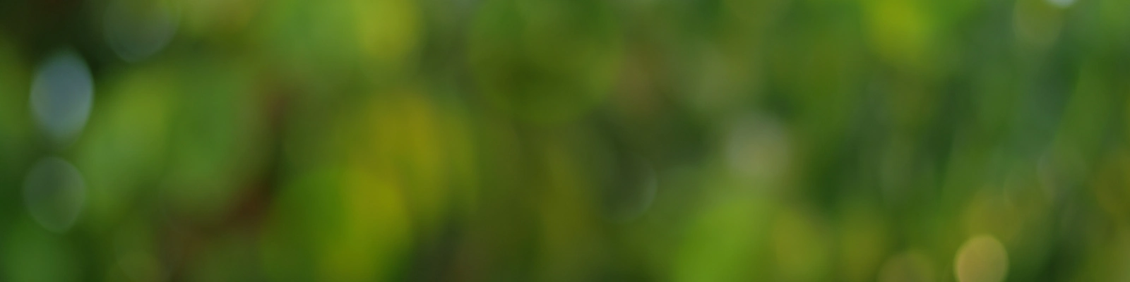 Homepage Image